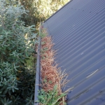 Corrugated Roof Gutter Guard Installers. Corrugated Roof Gutter Guard installers Christchurch Canterbury and Otago. Corrugated Roof Gutter Guard Installers. Corrugated Roof Gutter Guard installers Christchurch Canterbury and Otago.