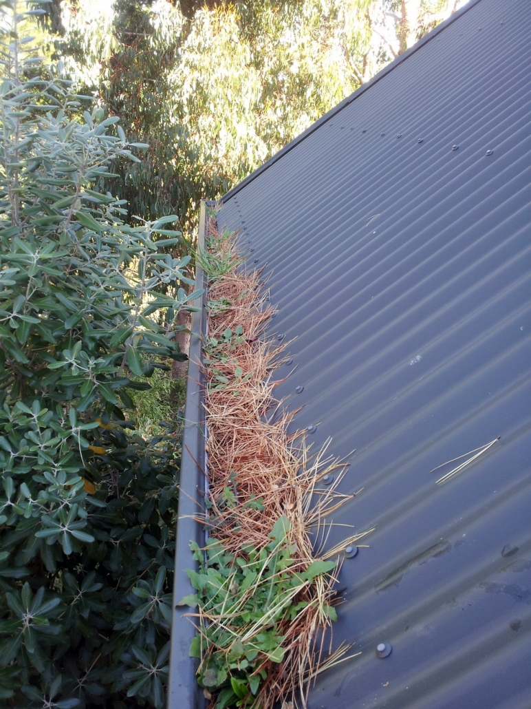 Corrugated Roof Gutter Guard Installers. Corrugated Roof Gutter Guard installers Christchurch Canterbury and Otago. Corrugated Roof Gutter Guard Installers. Corrugated Roof Gutter Guard installers Christchurch Canterbury and Otago.